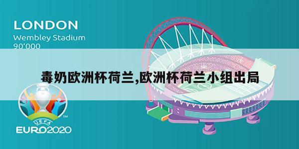 毒奶欧洲杯荷兰,欧洲杯荷兰小组出局